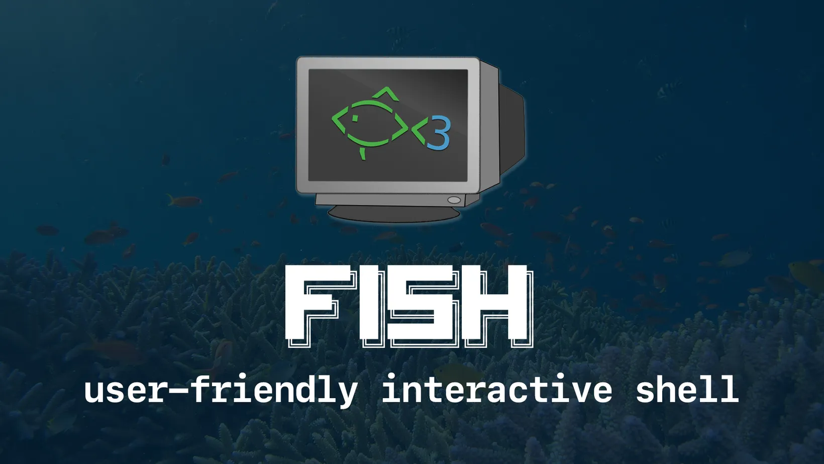 Set up fish, the user-friendly interactive shell hero
