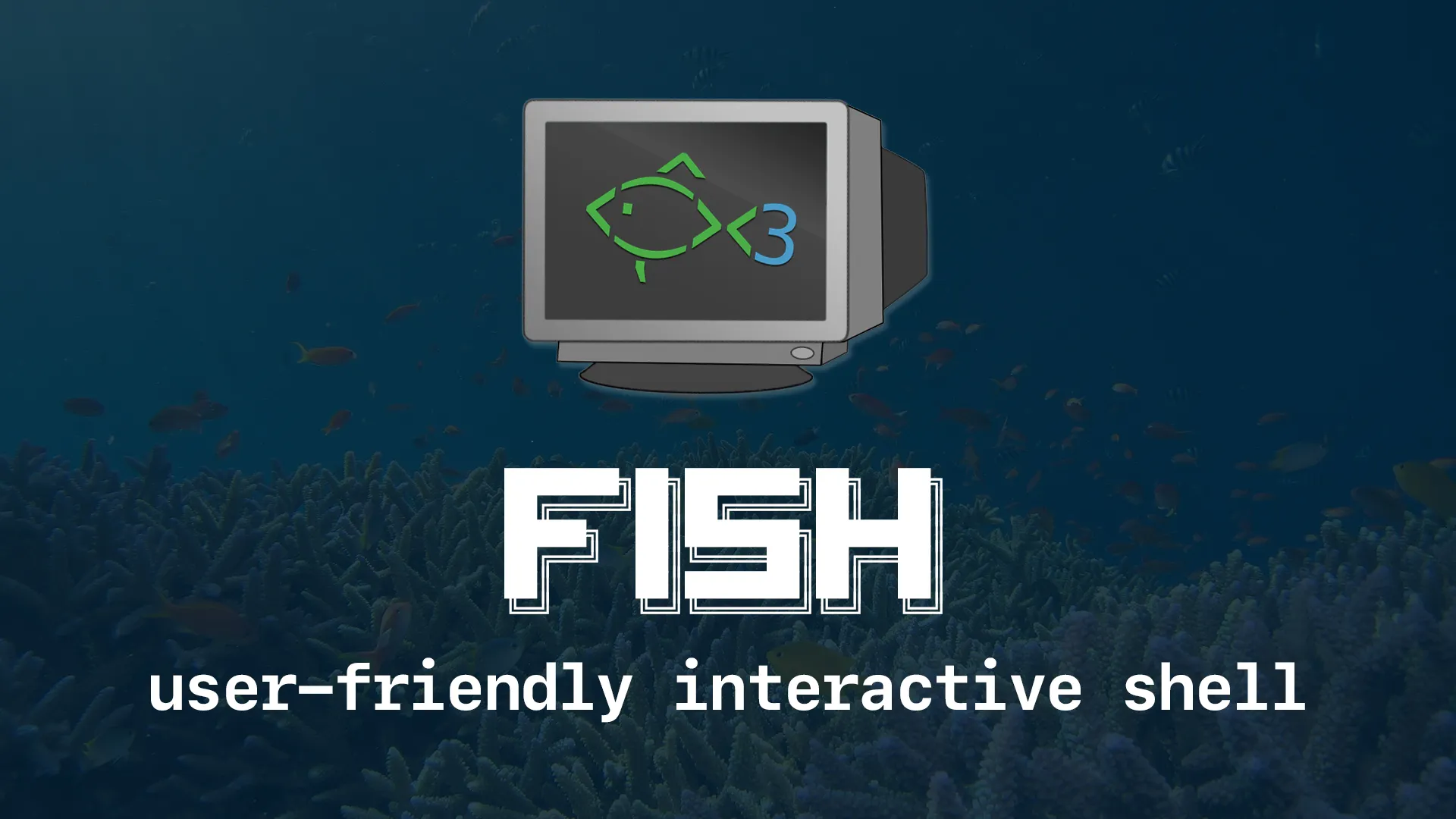 Set up fish, the user-friendly interactive shell hero