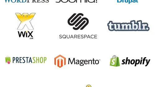 The Beginner's Guide to Content Management Systems